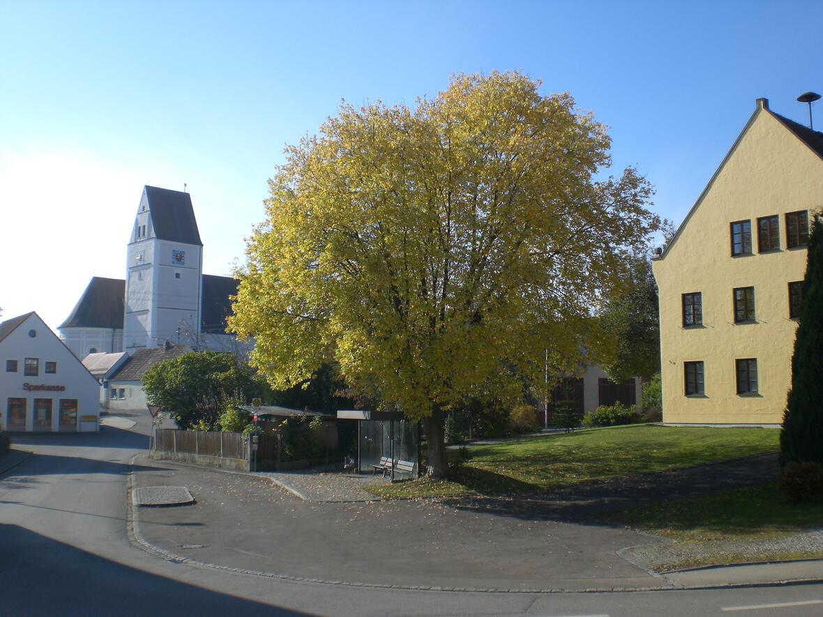 rathaus_4